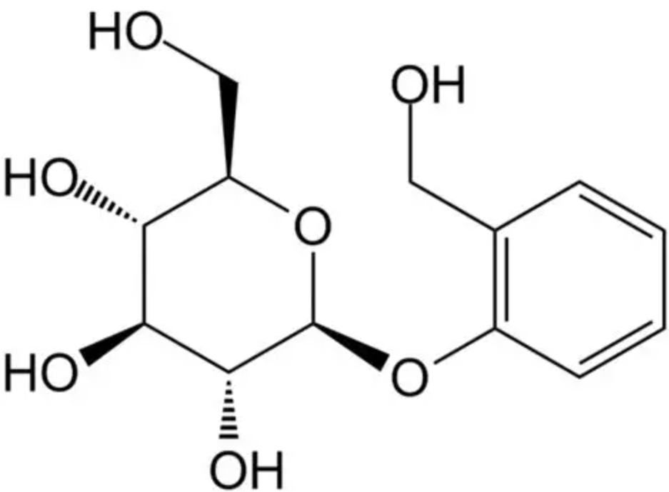 Salicin Powder Supplier