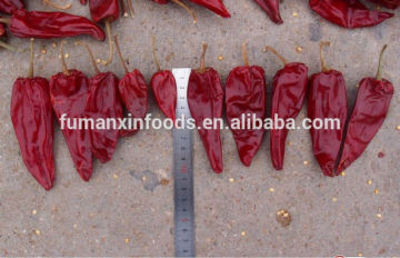 Chilli whole