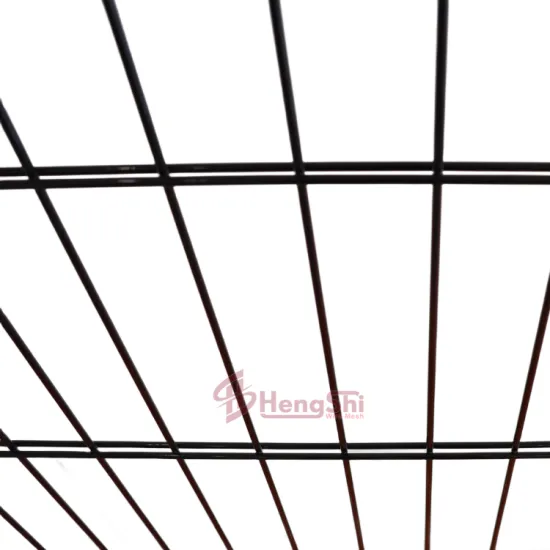 2D Twin Wire Galvanized Double Steel Welded Wire Mesh Fence Panel