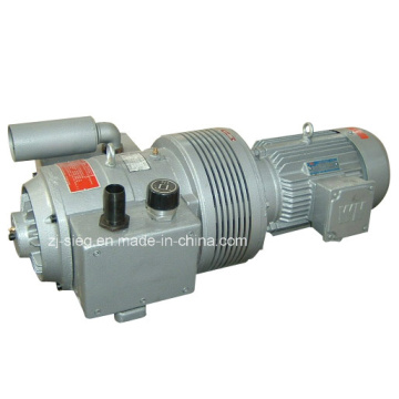 Dry Rotary Vane Compressor Pump for Pulse Dust Collector