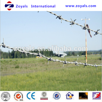Anping Hot Selling Stainless steel Barbed Wire