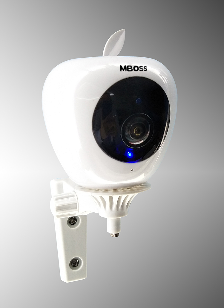 indoor 1080P wireless camera