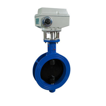 Professional Stainless Steel Thread End Electric Ball Valve with Lock Device
