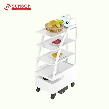 Food and Drug Delivery Robot