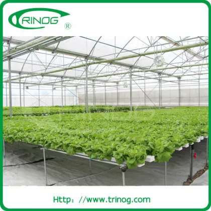 High tech hydroponics greenhouse for sale