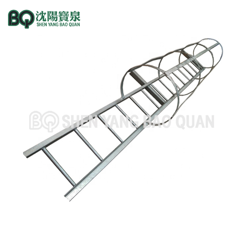 Mast Section Ladder for Tower Crane