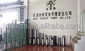 Electric AC Synchronous Motor