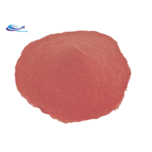 Organic Strawberry Juice Concentrate Powder