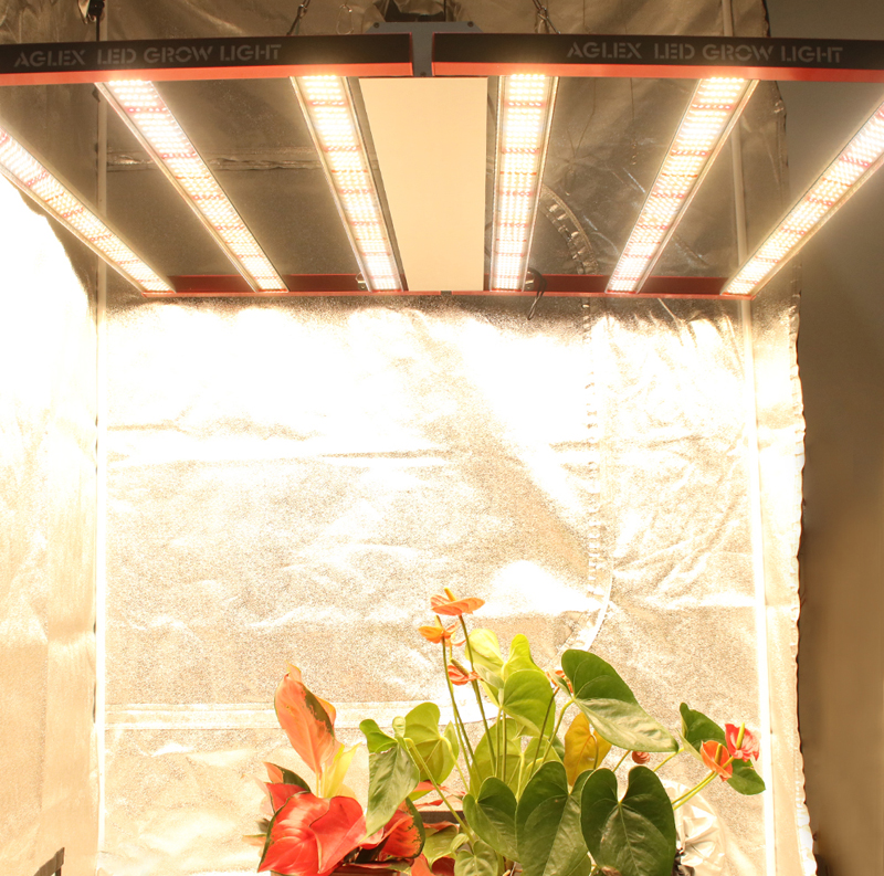 Horticulture Greenhouse 720W indoor planten LED Grow Light