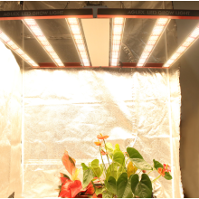 Horticultura invernadero 720W planta interior LED Luz de cultivo
