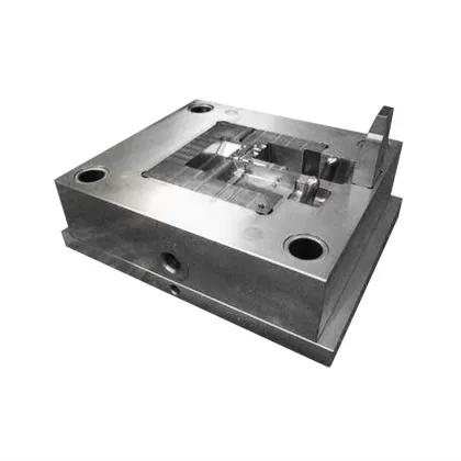 Medical Thermometer Plastic Molds