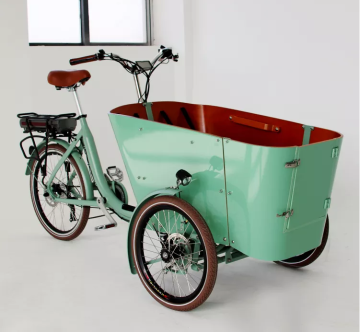 Electric Cargo Bikes and Ebikes for Families: Three-Wheeled Electric Reverse Tricycles