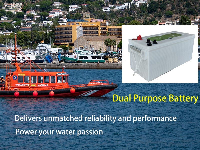 Dual Purpose Battery0613