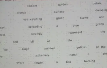 Blind printing books Braille products Braille printing