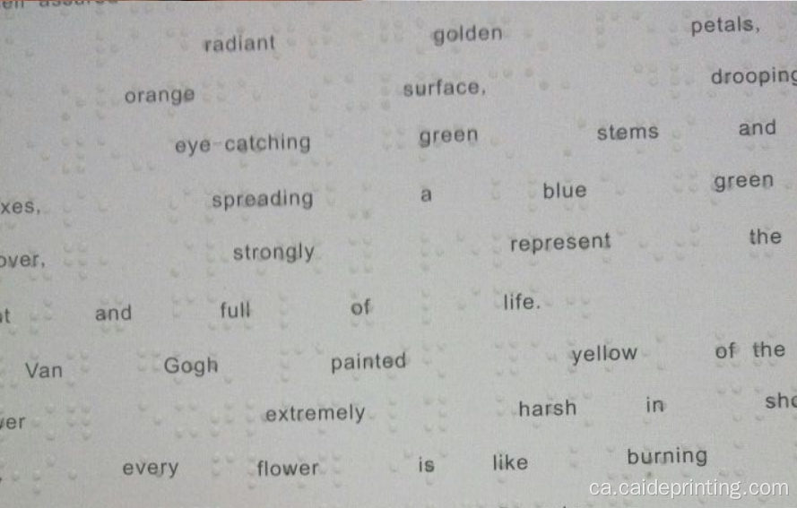 Llibres d'impressió cecs Braille Products Braille Impressió