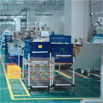 Persimmon Powder Persimmon Extract Powder Persimmon