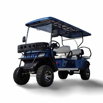 China Factory Sale: Custom 4-8 Seat Golf Carts for Adults