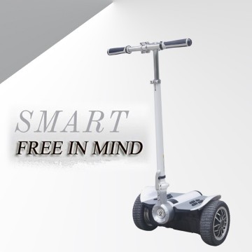 Electric Self-Balancing Scooter