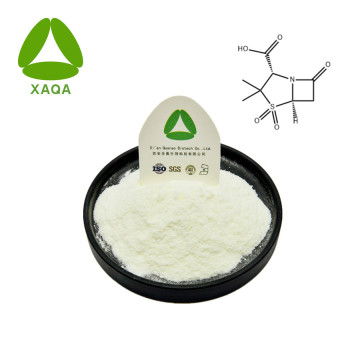 Salbactam Acid Powder CAS nr. 68373-14-8