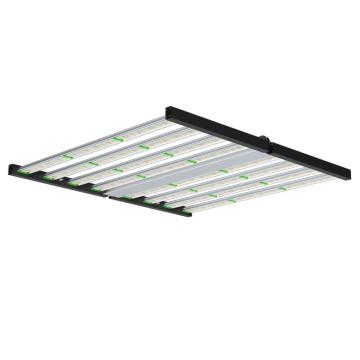 Luzes LED de plantas em crescimento 1000W