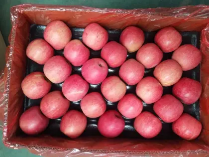 Fresh Paper Bag Fuji Apple