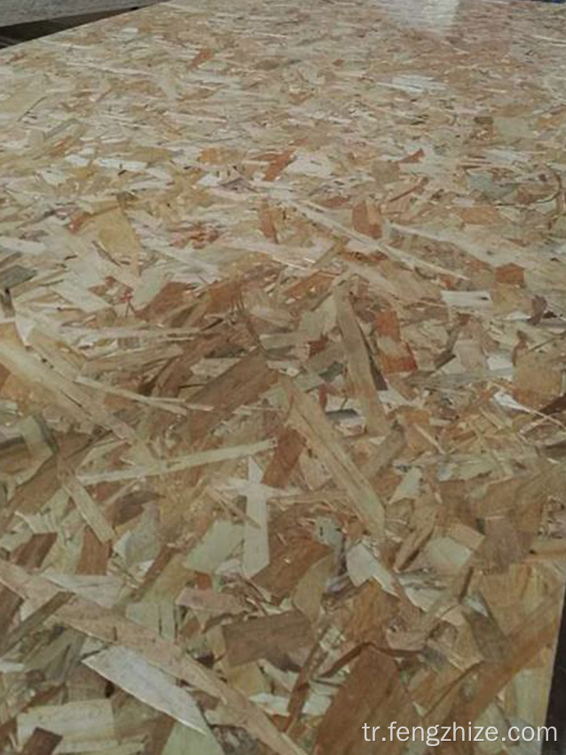 OSB odaklı iplik kartı, su geçirmez OSB 12mm