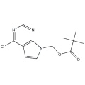 Haute qualité (Pivalate 4-Chloro-7H-pyrrolo[2,3-d]pyrimidin-7-yl)methyl CAS 1146629-75-5