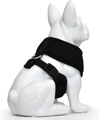 Walking Breathable Mesh Dog Harness for Puppies