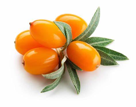 CAS 480-19-3 Sea Buckthorn Extract 99% Isorhamnetin