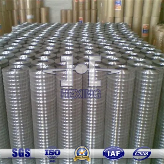SUS Welded Wire Mesh Roll
