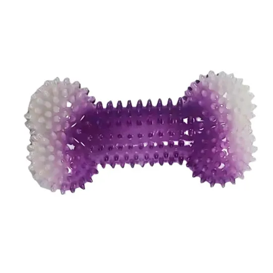 Glow in The Dark Squeaky TPR Dog Bone Chew Toy