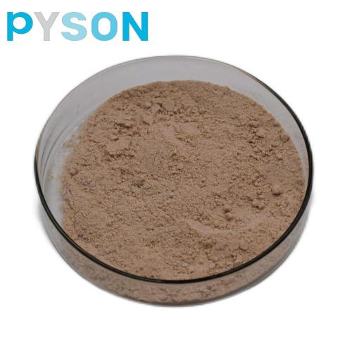 Best Bamboo Leaf Extract Powder