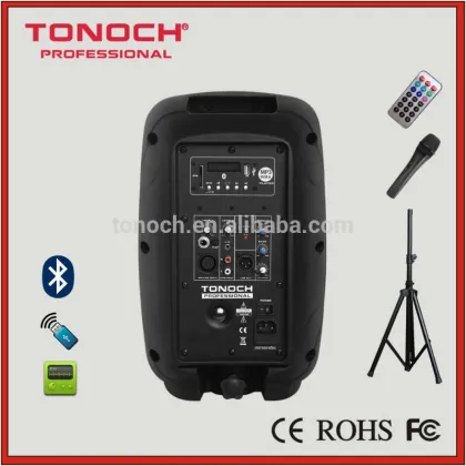 Pro Audio 8" Karaoke Active Speaker