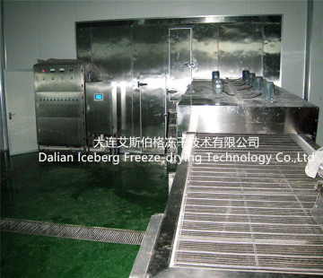 Individual Fluidized Freezing Machine