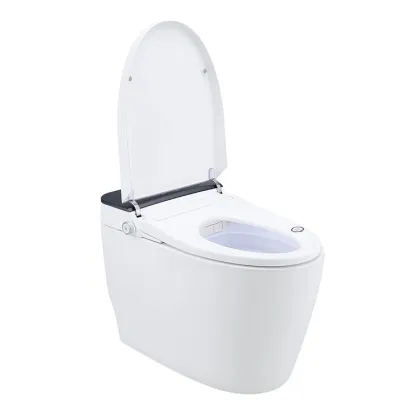 Modern Smart Toilet Bidet Sanitary Ware