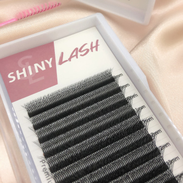Wholesale Clover Lashes: 3D, 5D, 6D Siberian Mink Lash Extensions