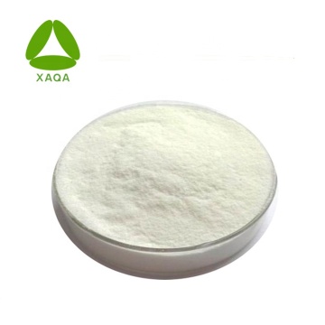 White Kidney Bean Extract Powder 1% Phaseolin