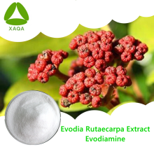 Evodia Rutaecarpa Extract 98% Evodiamine Powder CAS 518-17-2