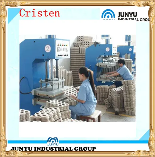 Full Auto Egg Tray Forming Machine Egg Tray Production Line