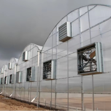 Custom Poultry and Livestock Farm Building Designs: Sheds and Stables for Chickens, Ducks, Pigs, Cows, and Horses