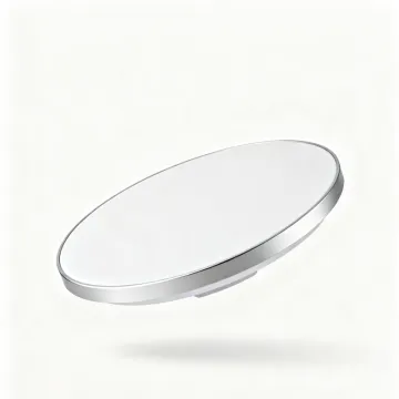 LED Ceiling Light for Home