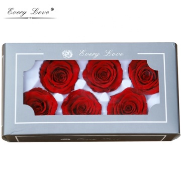 Eternal Roses: Every Love A Grade Decorative Preserved Rose Heads for Wedding & Party