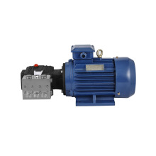 Stainless Steel Plunger Pump