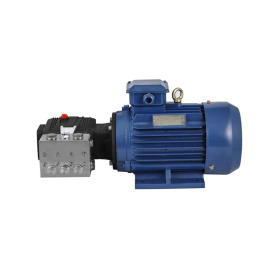 Stainless Steel Plunger Pump