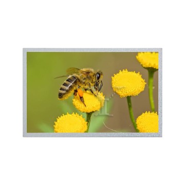 7.0 Inch 1024x600 EJ070NA-01F TFT LCD Screen Module Display Panel for 7 Inch Devices