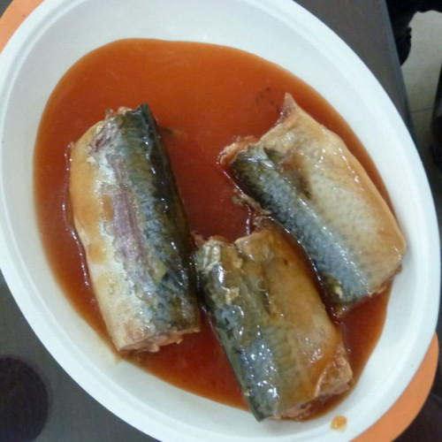 Pescado de caballa en conserva en salsa de tomate sabores OEM
