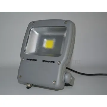 IP 65 50W LED floodlight with CE,RoHs