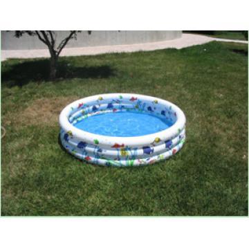 Tropical Fish Pool