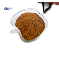 Best function cnidium monnieri extract powder fructus cnidii