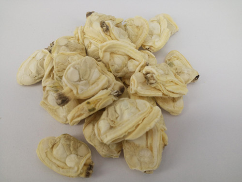 Qingdao Famous Clam Seafood for Pet